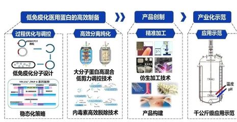 西北大学获批3项国家重点研发计划，聚焦生物化工产品技术研发新突破