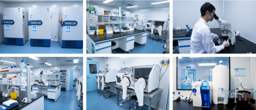 微益生菌的应用价值与生物化工产品技术研发的融合创新