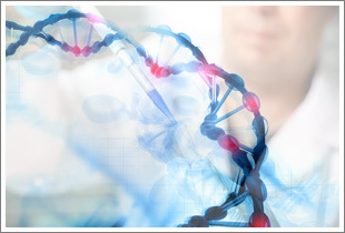 DNA-In SY5Y细胞转染试剂现货供应 美国GlobalStem品牌产品解析