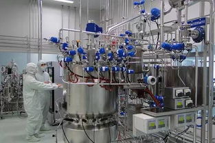 张江生物医药 下一位首富的摇篮？